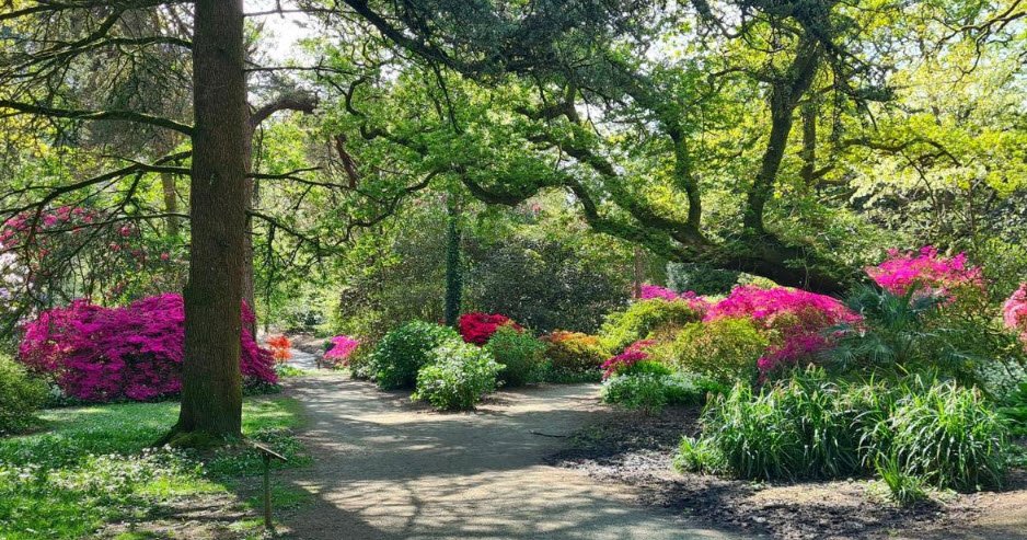 Clyne Gardens, United Kingdom